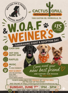W.O.A.F & Weiners